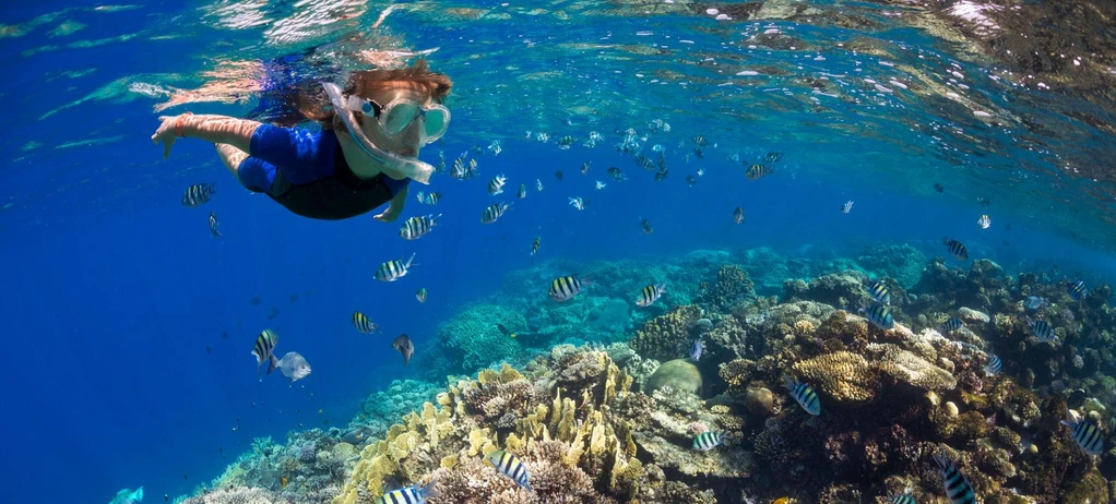 Snorkeling at Mahmya Island from Hurghada 